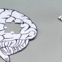 Caminhos da memória